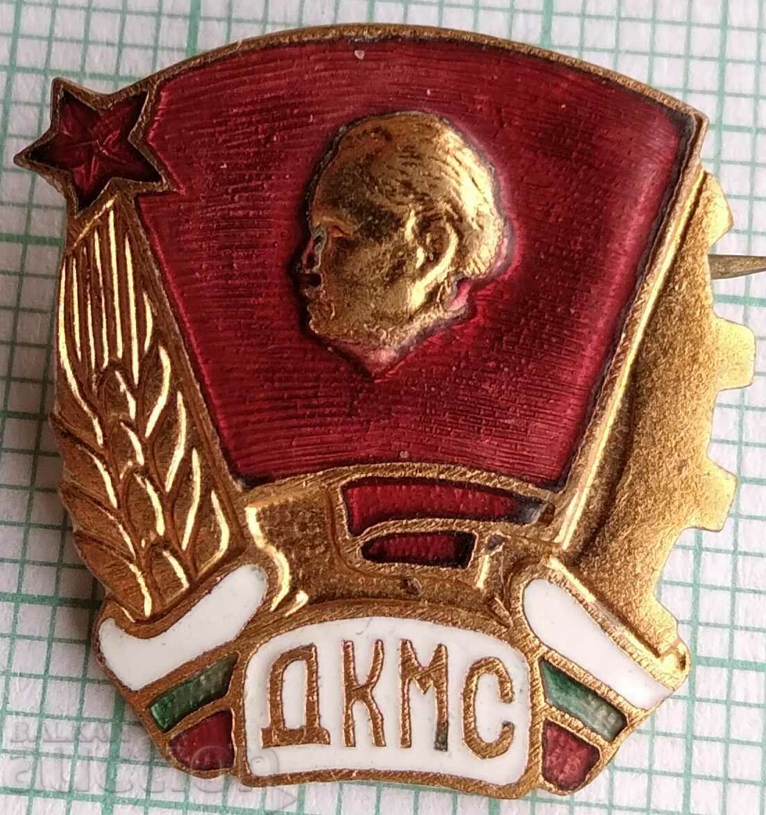 16552 DKMS Komsomol Youth Union - bronze enamel