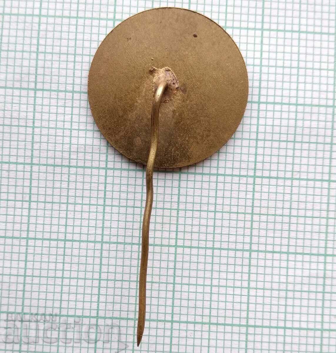 Auction  16553 Badge - 30 years Ministry of Interior