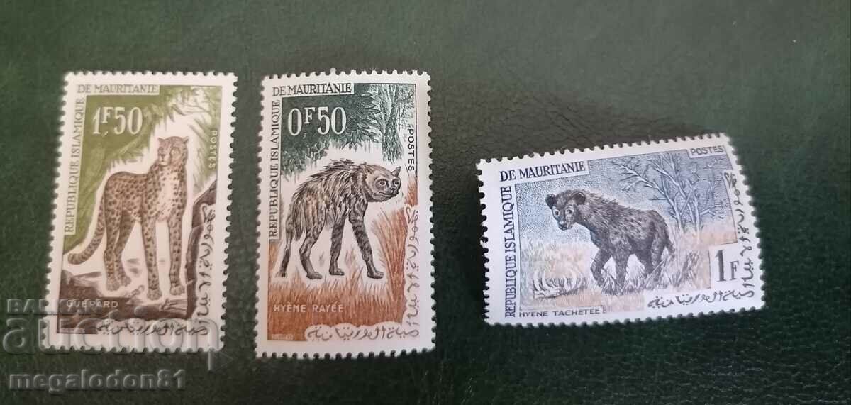 Mauritania - Fauna Mauritania - Fauna