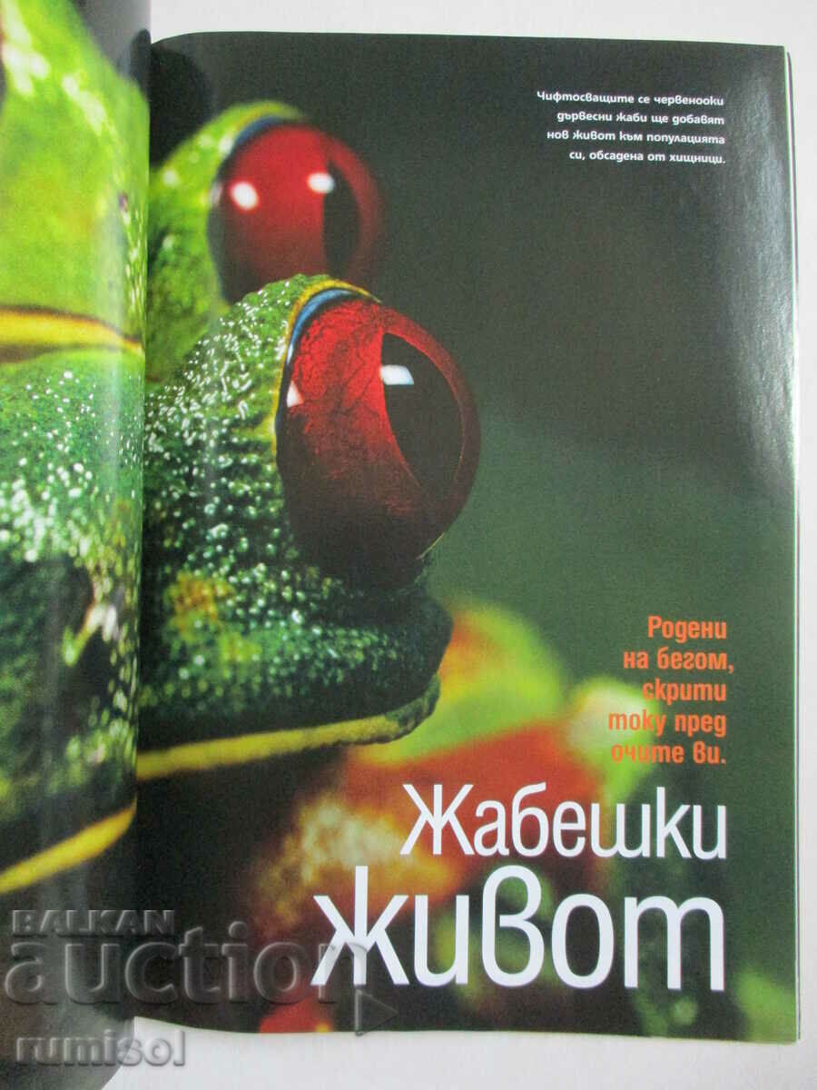 National Geographic - Dubai - January 2007 - 5