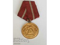 Medal for Combat Merit