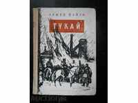 Ахмед Файзи " Тукай "