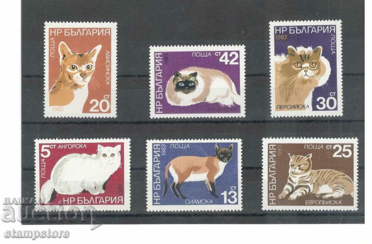 Bulgaria cats 1983