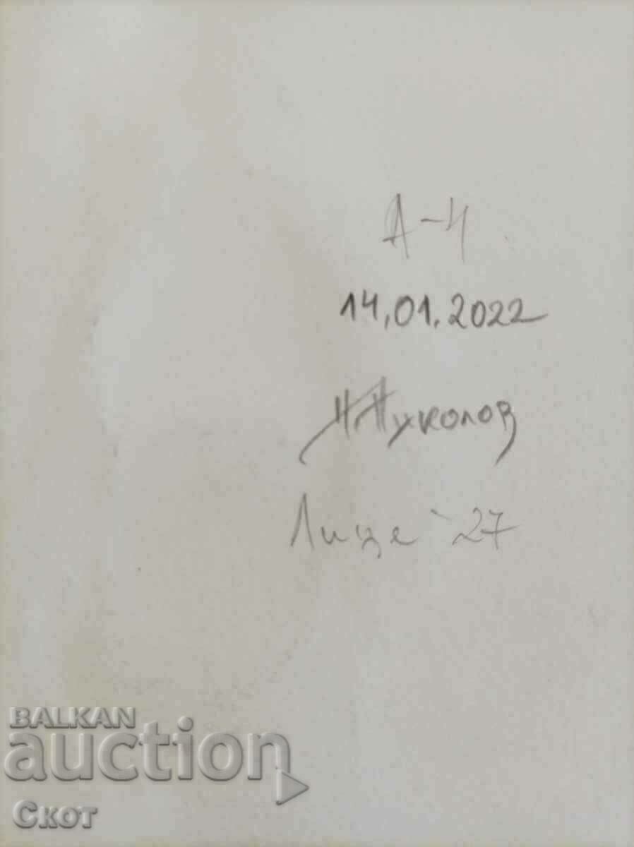 Σχέδιο με μελάνι με τιμή 30.00 BGN | € 15.34