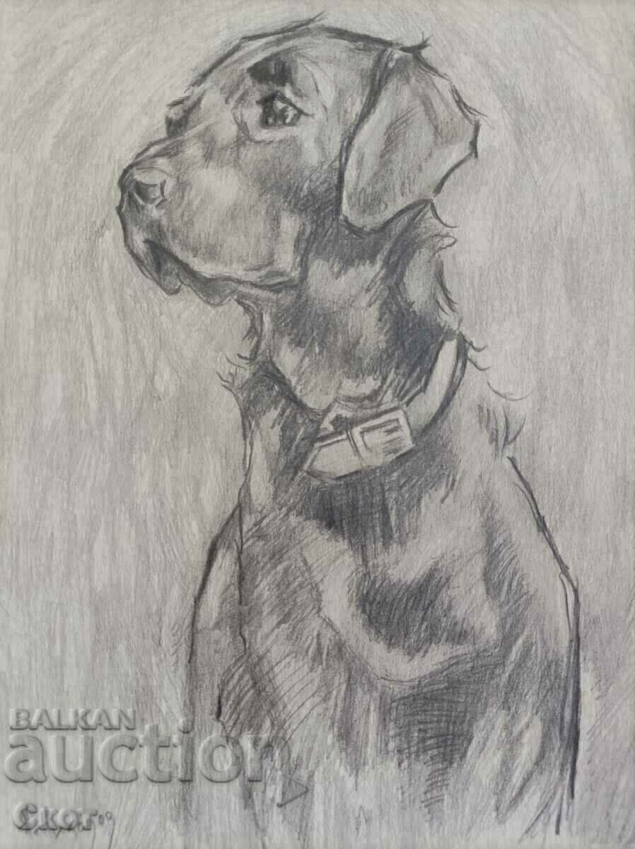 Σχέδιο με μολύβι Σχέδιο με μολύβι