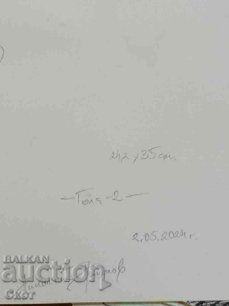 Desen cu cerneală cu preț € 12.27 | 24.00 BGN