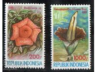 1989. Indonesia. Flowers.