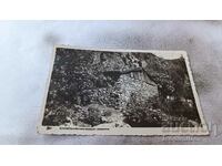 Пощенска картичка Сопотъ Историческата воденица 1937