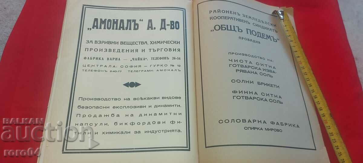 BULGARIA'S MINING INDUSTRY - 6 BULGARIA'S MINING INDUSTRY - 6