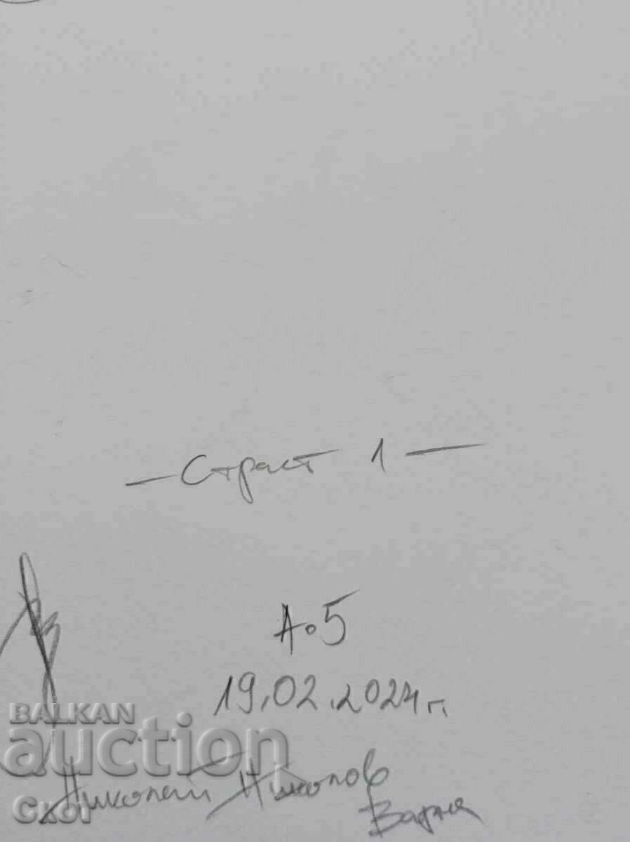 Ink drawing with price 10.00 BGN | € 5.11