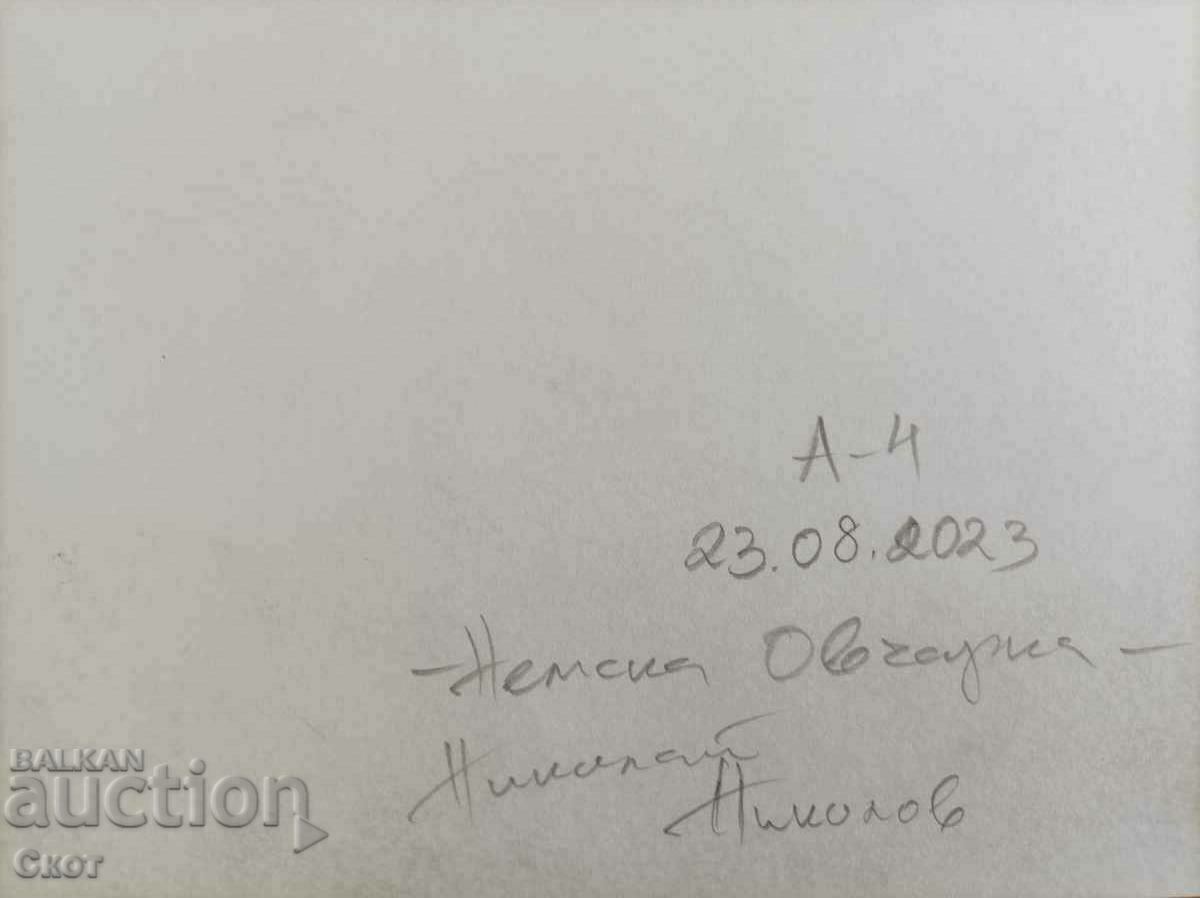 Desen cu cerneală cu preț € 10.23 | 20.01 BGN