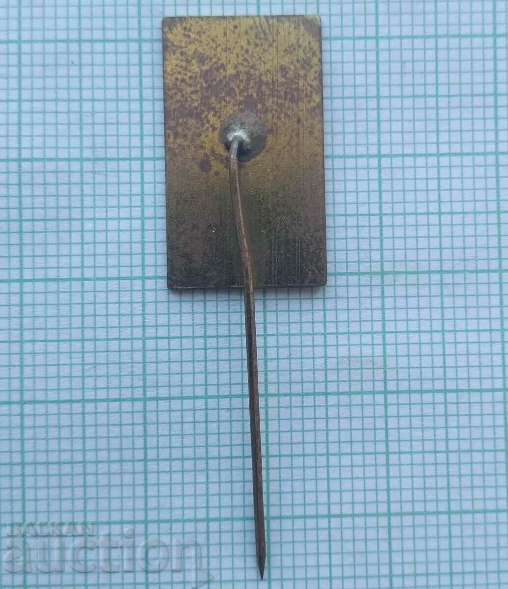 Auction 16583 Badge - RAUM 1973 Auction 16583 Badge - RAUM 1973