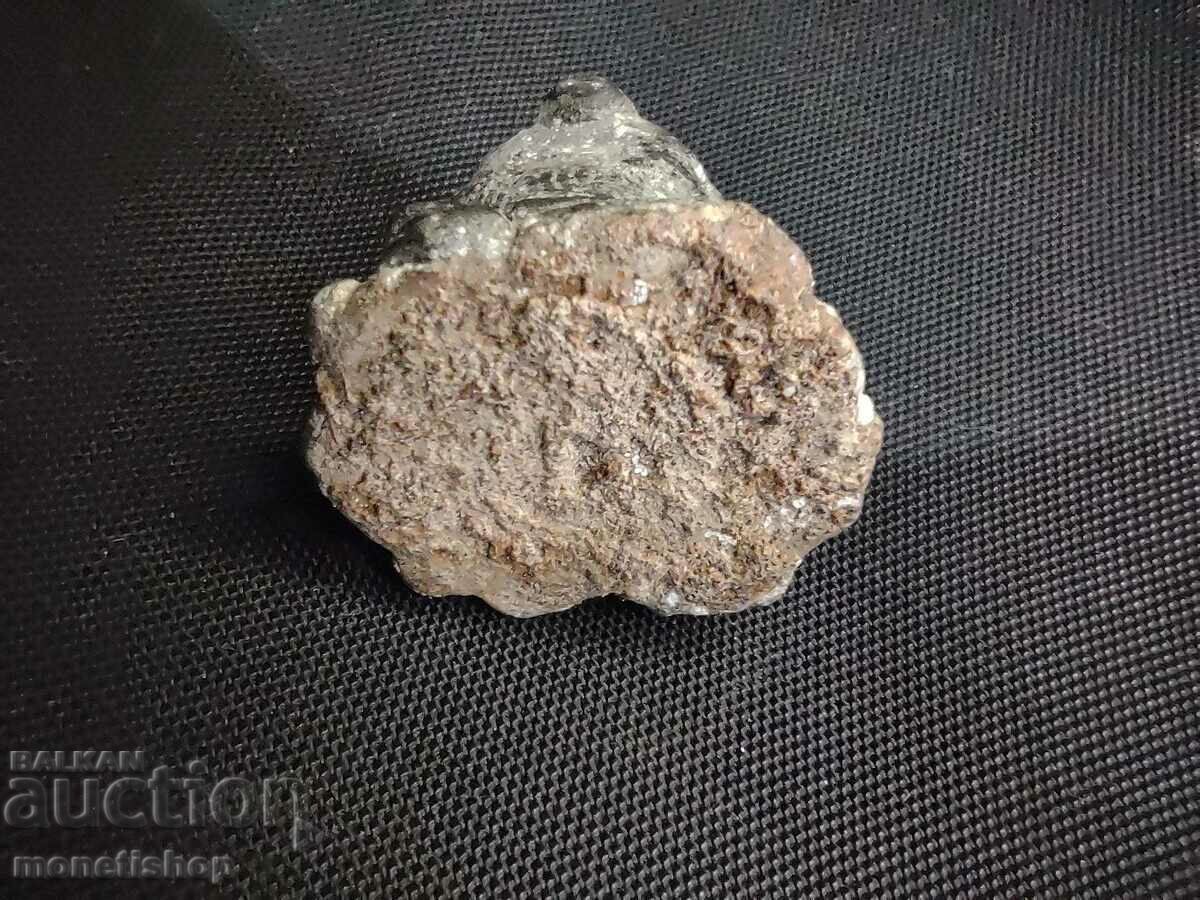 Licitație REPLICA DE BRONZ A APLICII DE SCAUN ROMAN Licitație REPLICA DE BRONZ A APLICII DE SCAUN ROMAN