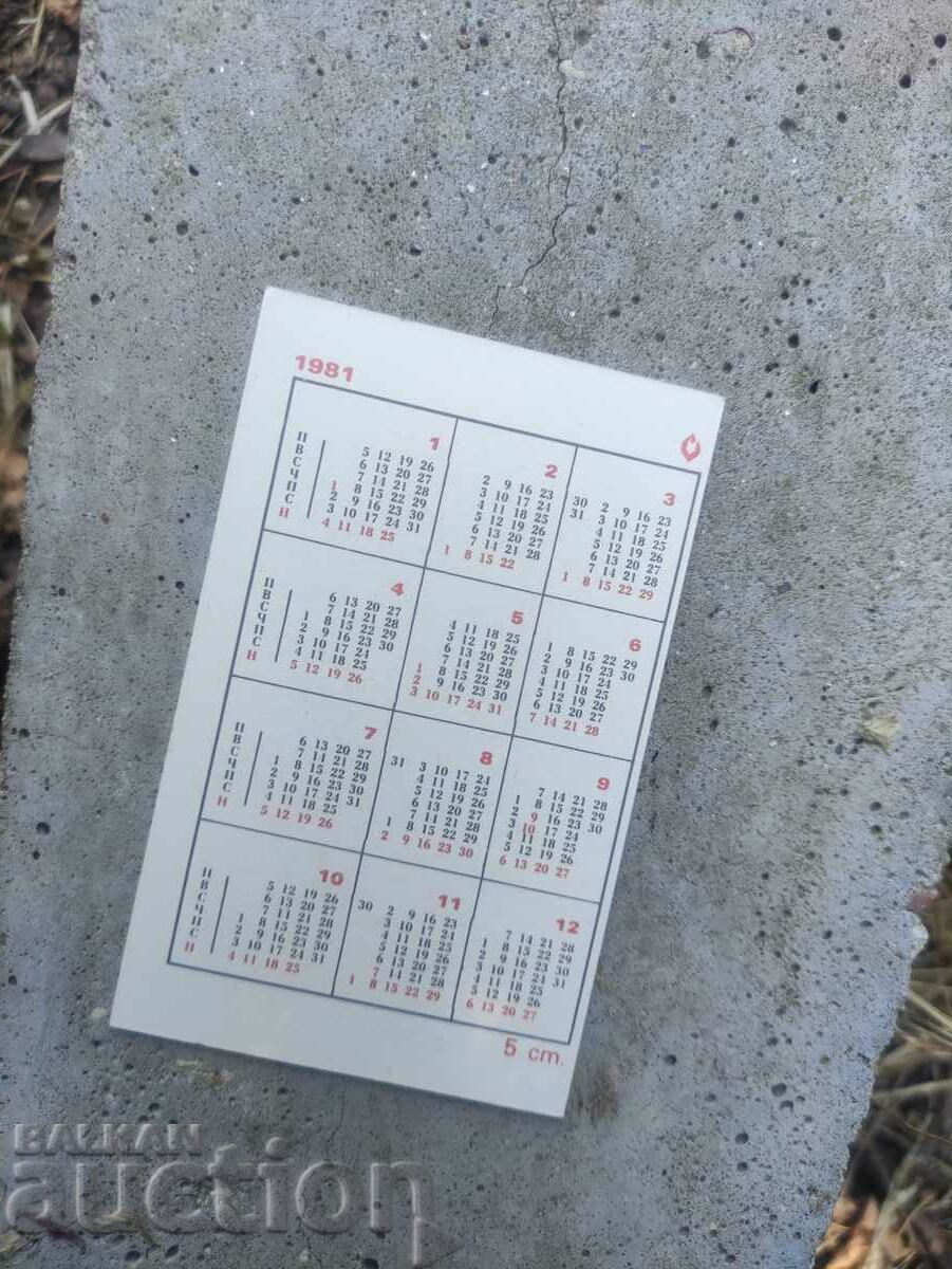 Buggy Koala /81 with price 25.00 BGN | € 12.78 Buggy Koala /81 with price 25.00 BGN | € 12.78