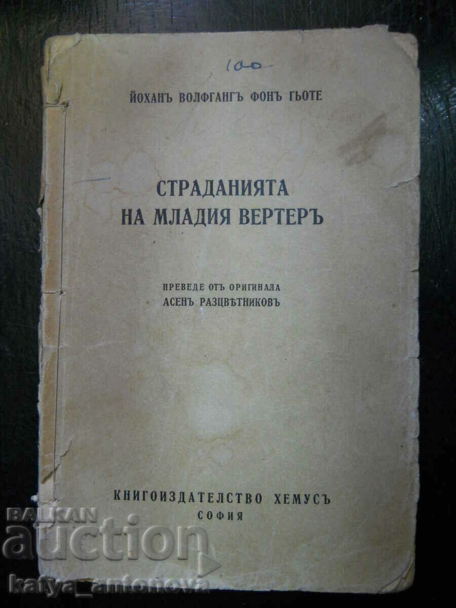 Γιόχαν Γκαίτε «Οι θλίψεις του νεαρού Βέρθερ»