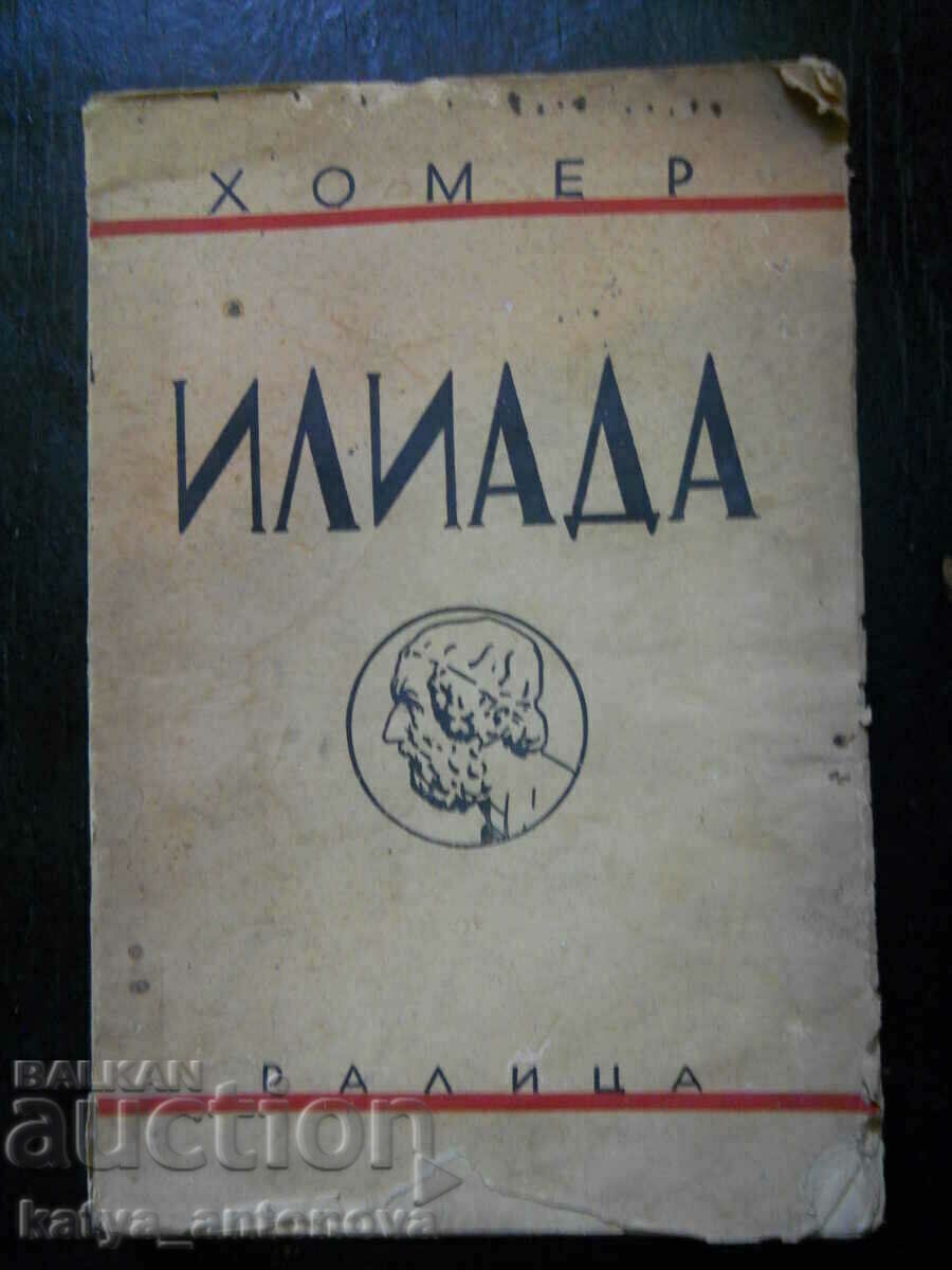 Homer's Iliad