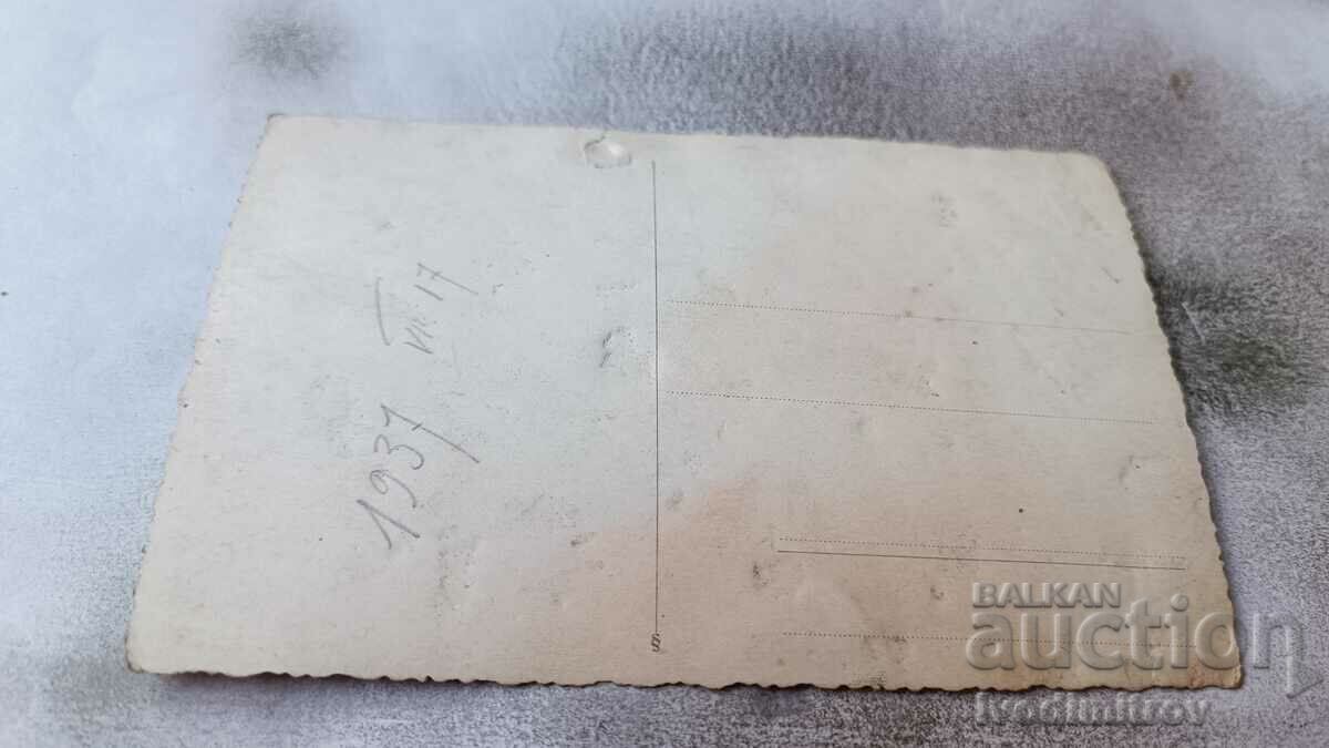 Auction Photo Rousse Boy Auction Photo Rousse Boy