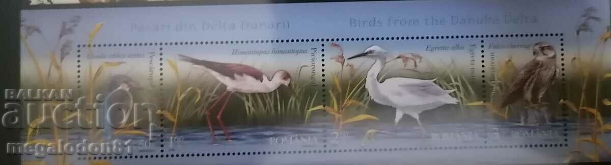 Romania - fauna, birds
