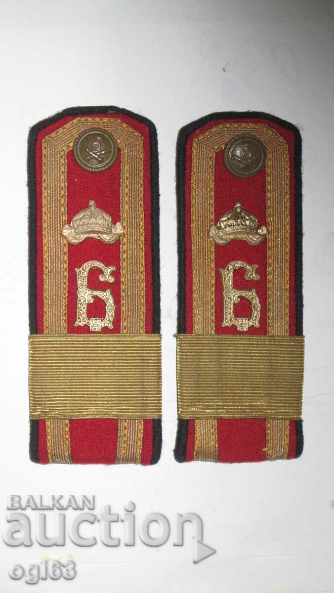 Royal epaulettes 83