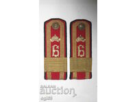 Royal epaulettes 83