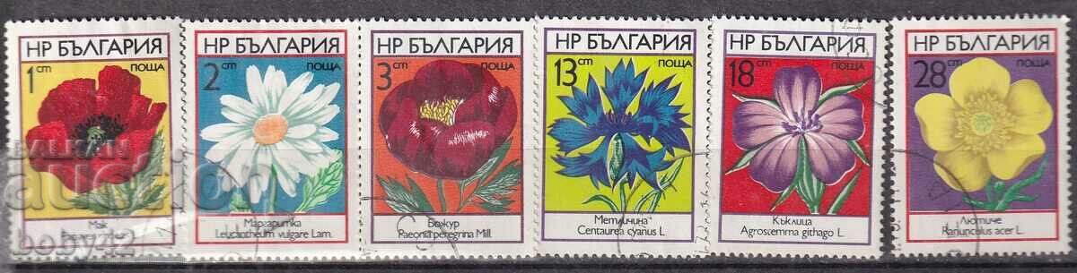 BK ,2303-2308 Polish flowers machine stamped-