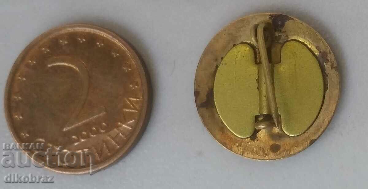 Auction  Electrical construction BRV K TNTM