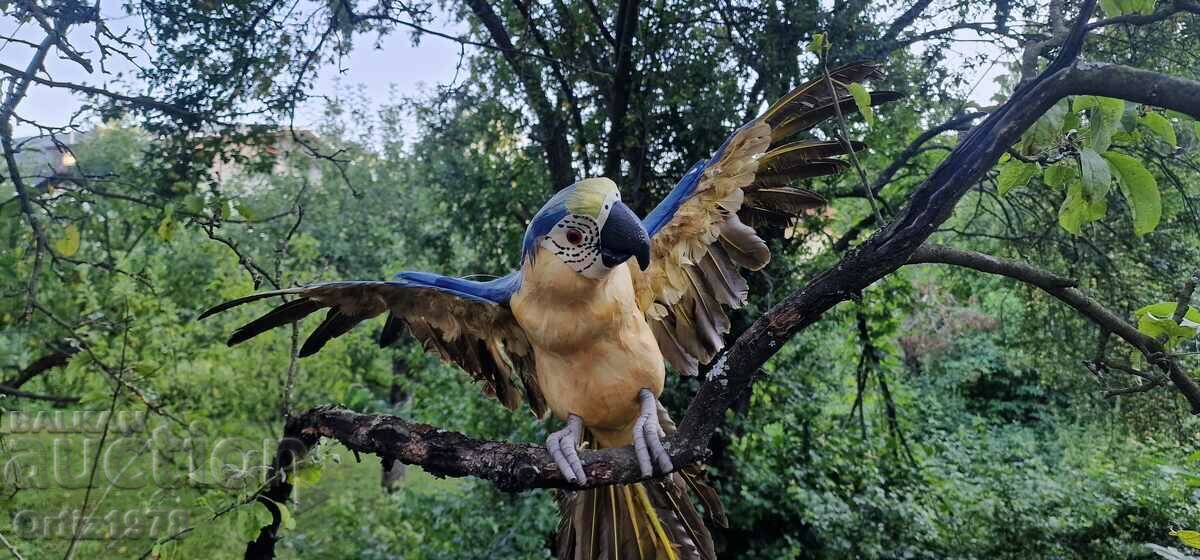 Delivery of Huge parrot, natural feathers, handmade, 77cm/ 62s Delivery of Huge parrot, natural feathers, handmade, 77cm/ 62s