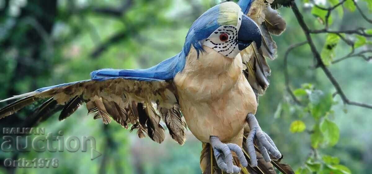 Huge parrot, natural feathers, handmade, 77cm/ 62s - 6 Huge parrot, natural feathers, handmade, 77cm/ 62s - 6