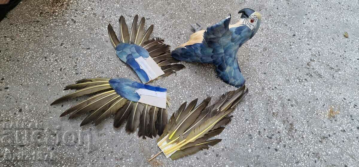 Huge parrot, natural feathers, handmade, 77cm/ 62s - 7 Huge parrot, natural feathers, handmade, 77cm/ 62s - 7