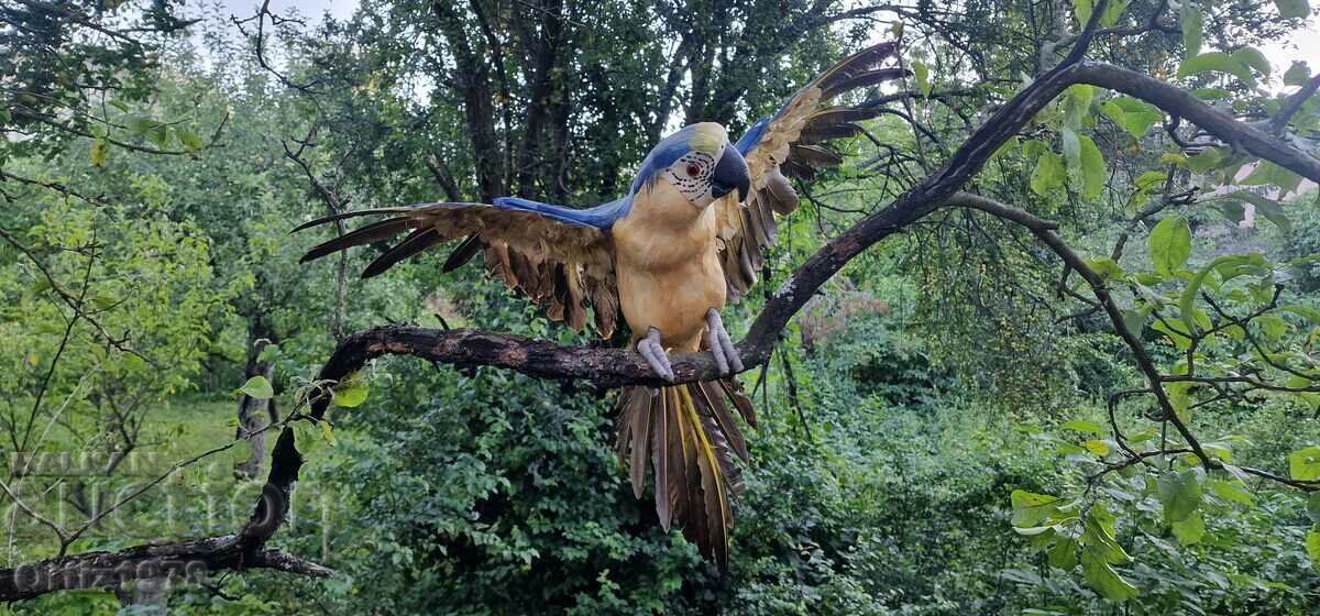 Huge parrot, natural feathers, handmade, 77cm/ 62s Huge parrot, natural feathers, handmade, 77cm/ 62s