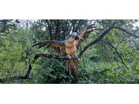 Huge parrot, natural feathers, handmade, 77cm/ 62s