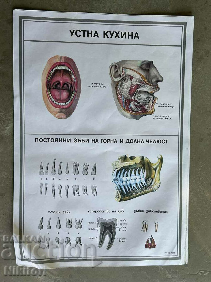 Комплект Соц Учебни Медицински Плакати