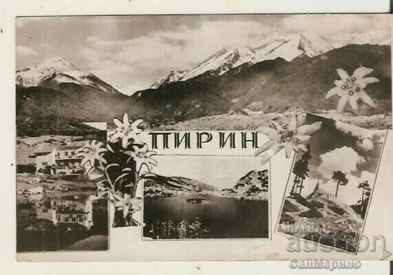 Card Bulgaria Pirin Pirin 3*