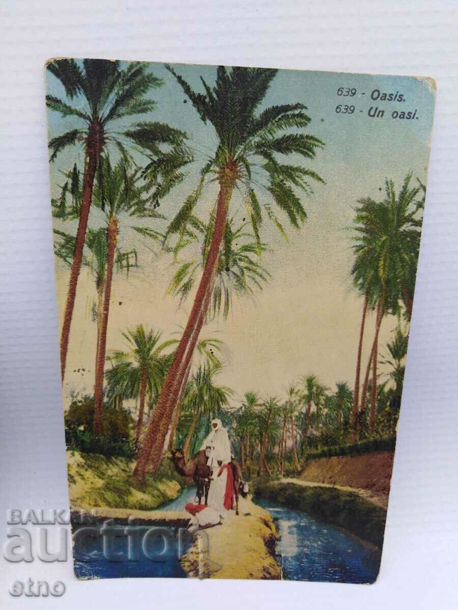 3 Βασιλικές καρτ ποστάλ - 6 3 Βασιλικές καρτ ποστάλ - 6