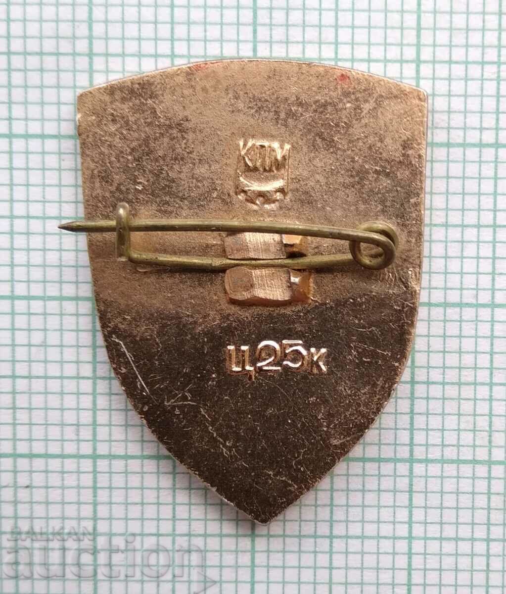 Auction 16771 Badge - USSR cities - Kiev - hero city Auction 16771 Badge - USSR cities - Kiev - hero city