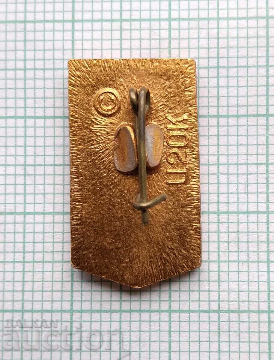 Аукцион 16799 Значка - Ленин Аукцион 16799 Значка - Ленин