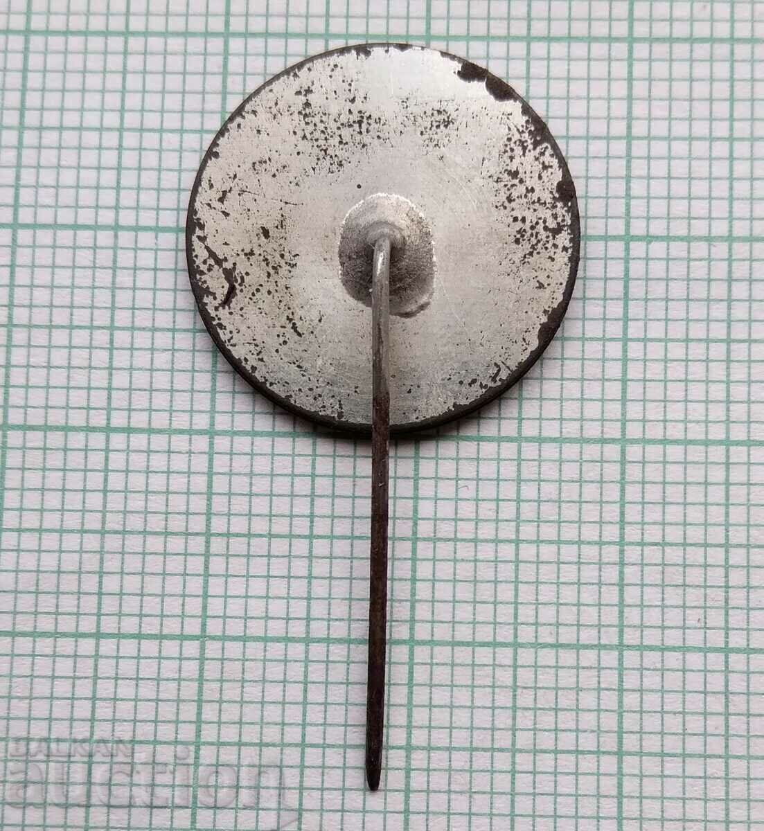 Auction  16812 Badge - coat of arms of Yablkovo village