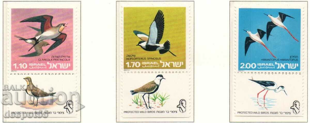 1975. Israel. Păsări sălbatice protejate.