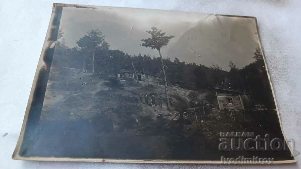 Foto Doi bărbați, două femei și un câine la munte