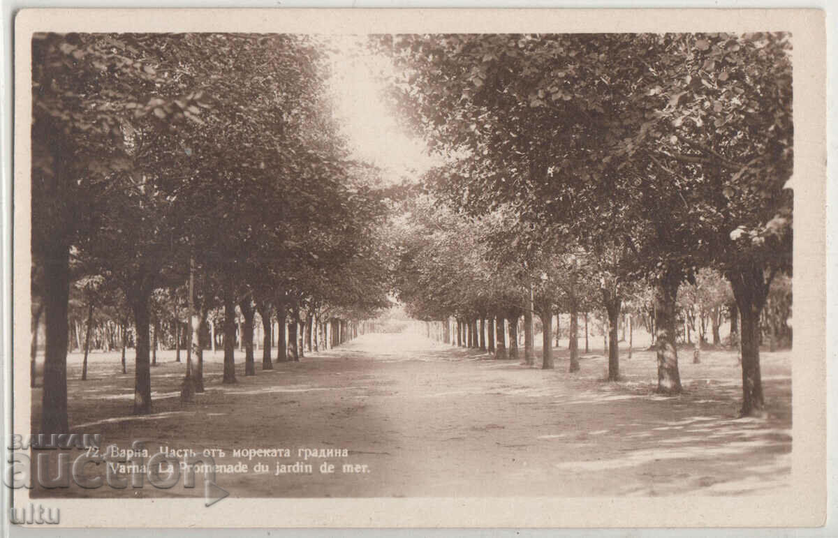 Bulgaria, Varna, part of the sea garden, traveled