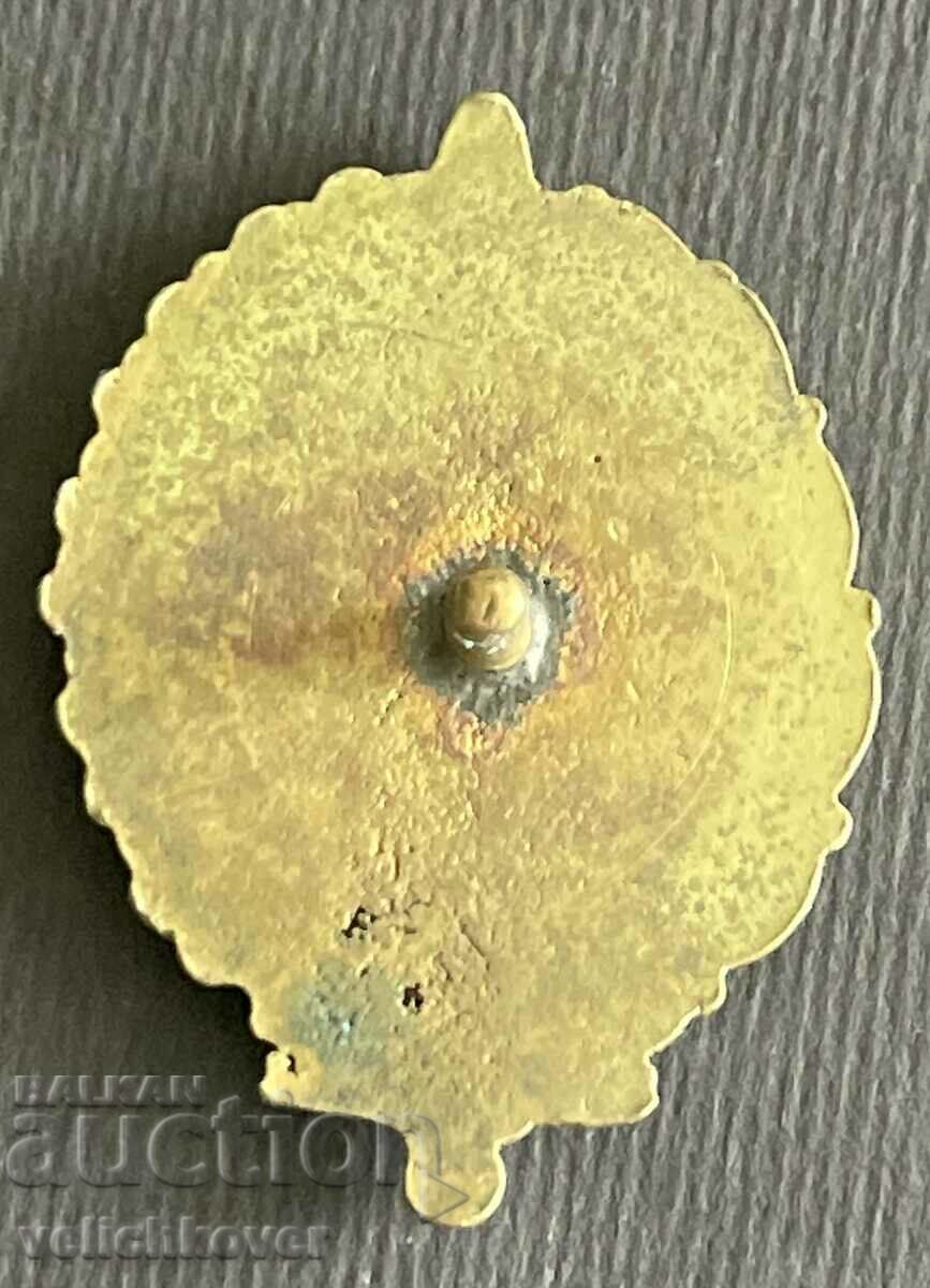 37794 Bulgaria insignia BB Internal Troops 90s. with price 10.00 BGN | € 5.11 37794 Bulgaria insignia BB Internal Troops 90s. with price 10.00 BGN | € 5.11