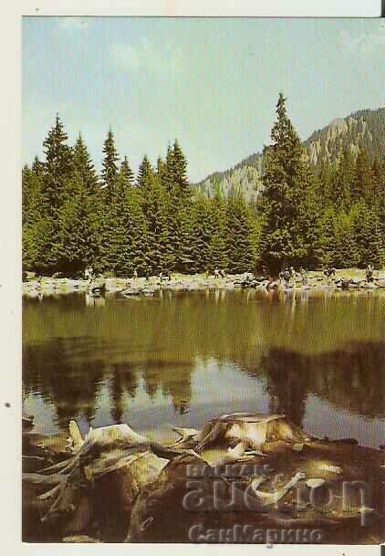 Card Bulgaria Smolyan Smolyan Lakes 8*