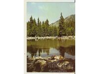 Card Bulgaria Smolyan Smolyan Lakes 8*