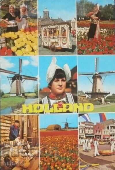 Postcard HOLLAND