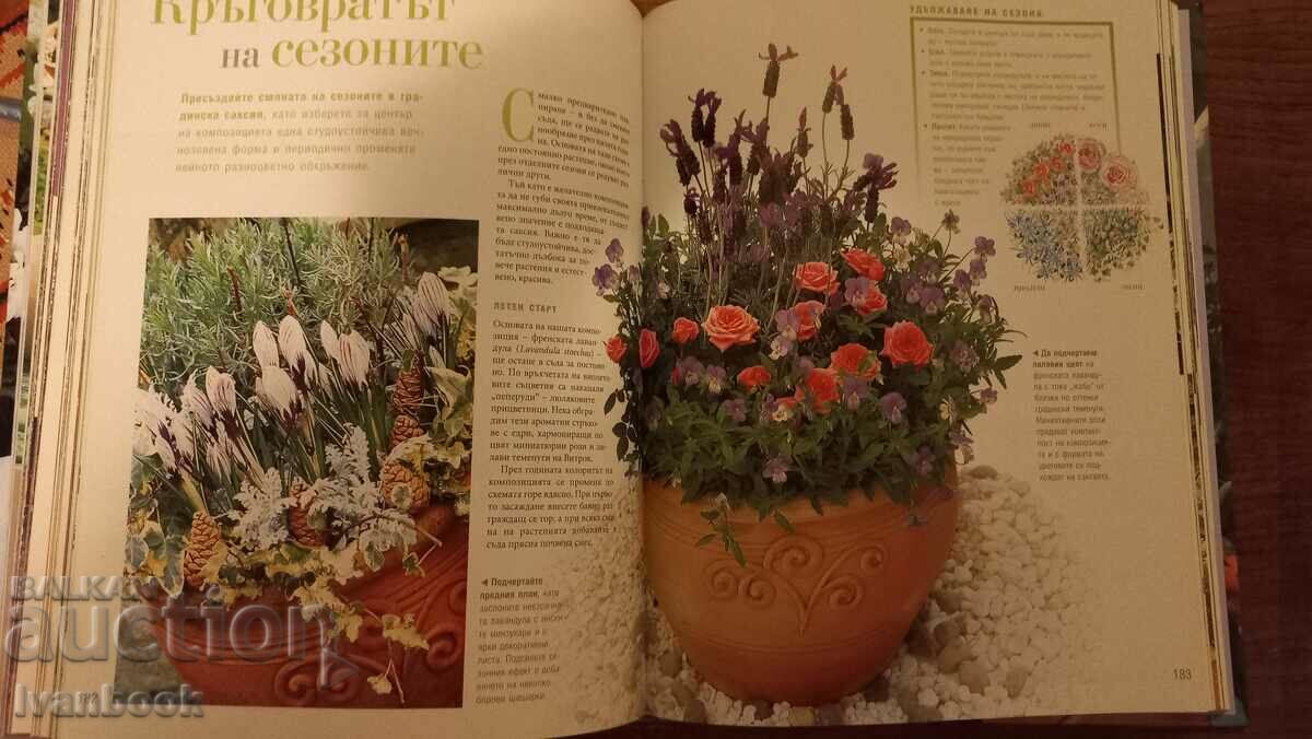 Delivery of Magnificent garden Delivery of Magnificent garden