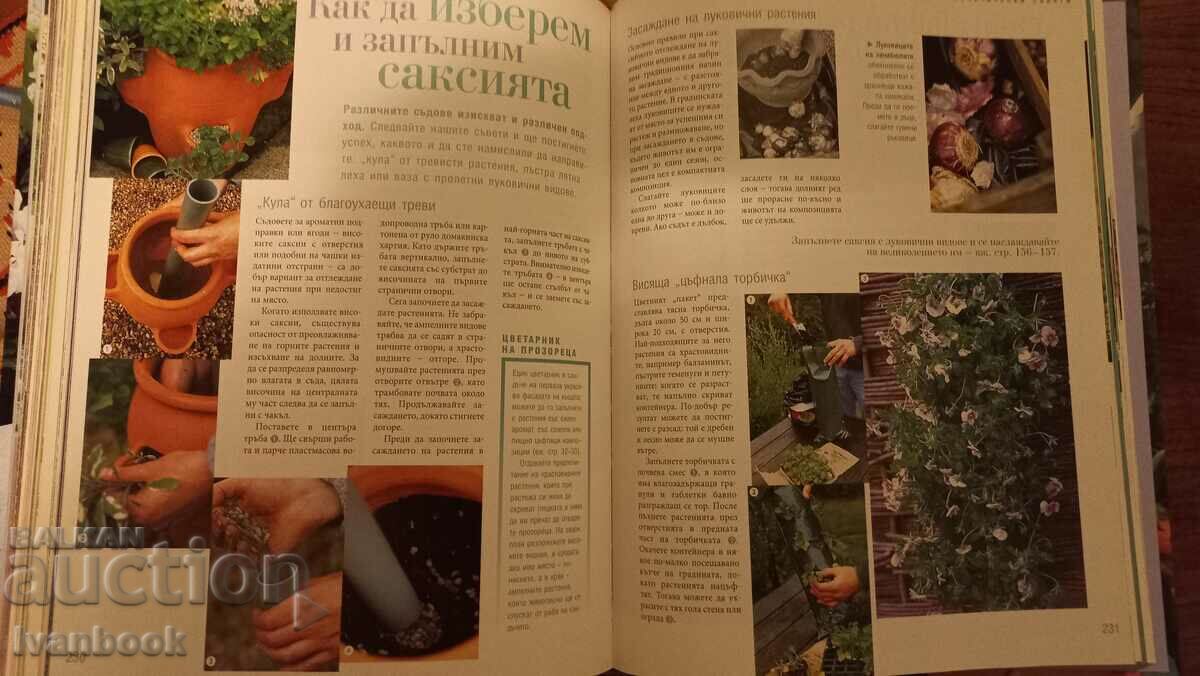 Magnificent garden - 5 Magnificent garden - 5