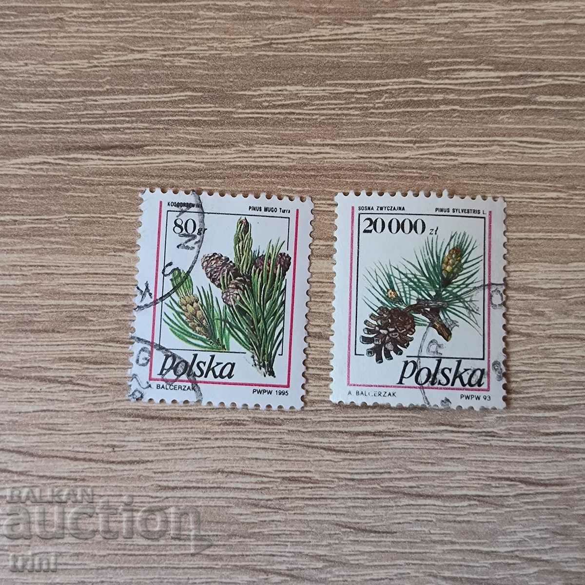 Πολωνία Flora Conifer κώνοι 1993 και 1995