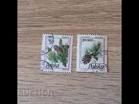 Poland Flora Conifer cones 1993 and 1995