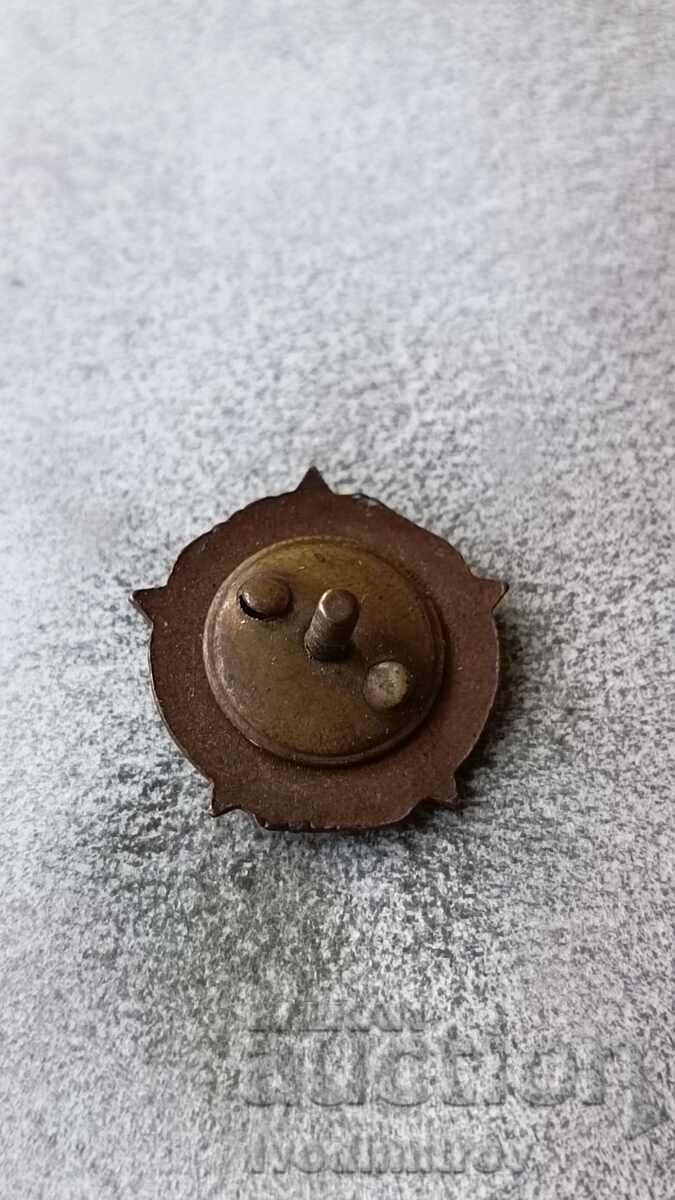 Badge Union of Fighters Against Fascism SBPF 1946 with price 8.65 BGN | € 4.42