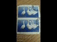 Postage stamps